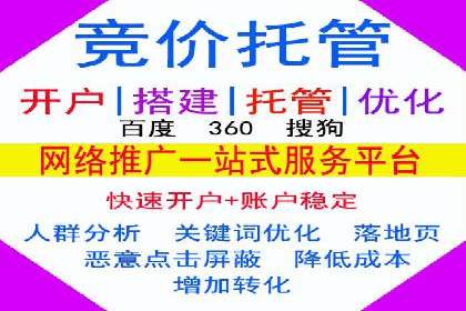 百度广告投放技巧及效果评估案例